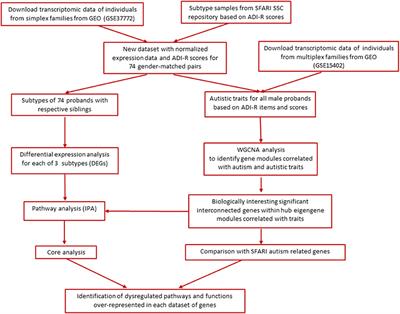Phenotypic Subtyping and Re-analyses of Existing Transcriptomic Data from Autistic Probands in Simplex Families Reveal Differentially Expressed and ASD Trait-Associated Genes